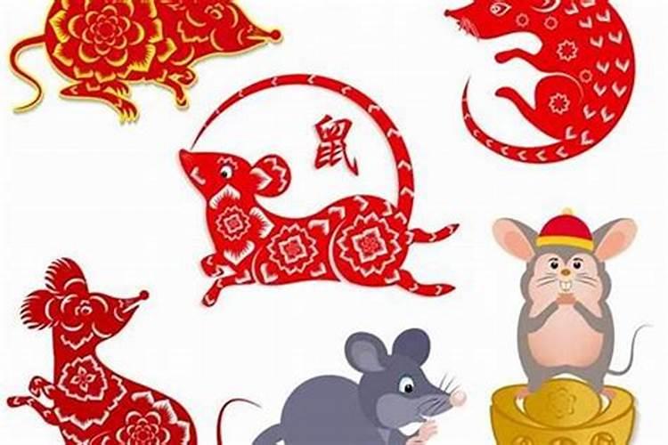 84年的鼠在2026年运程如何？