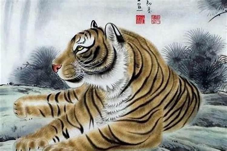 算命属狗的与属虎的合婚吗？