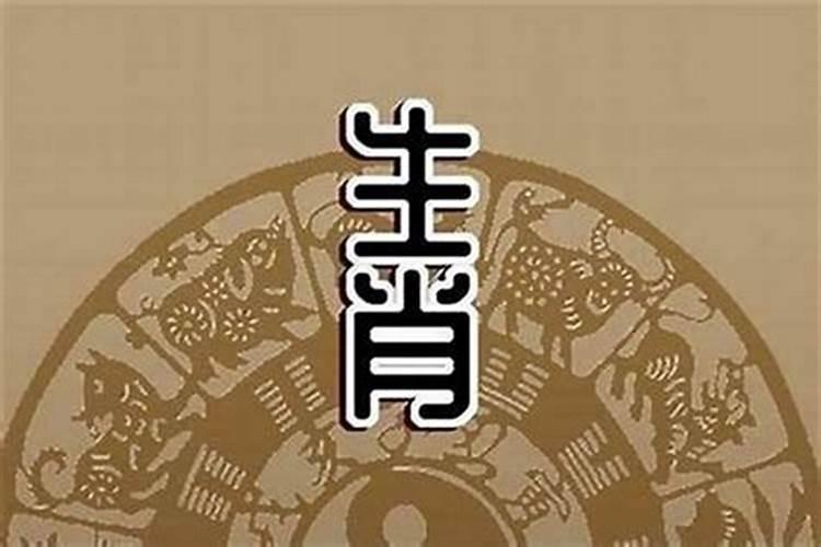 41岁运程走脸上哪里？