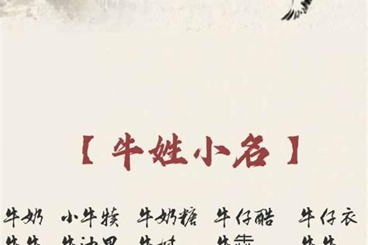 牛年腊月二十出生男孩