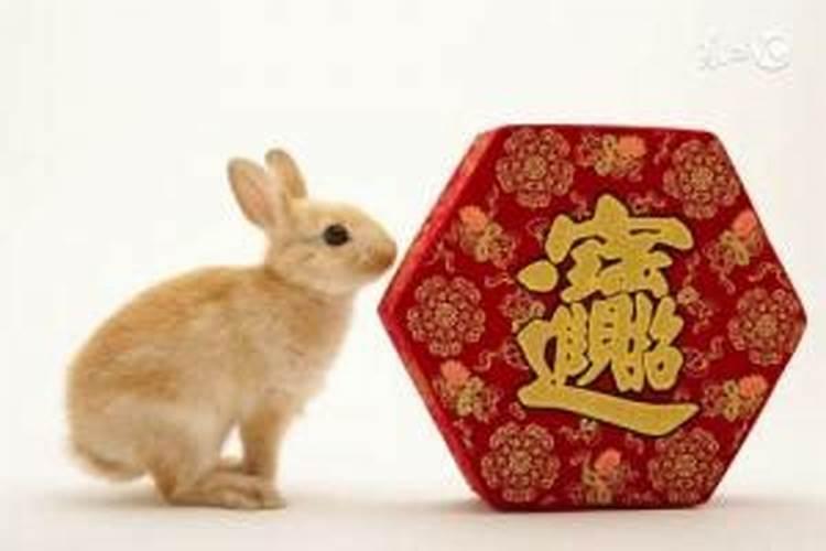 2026年属兔本命年幸运色
