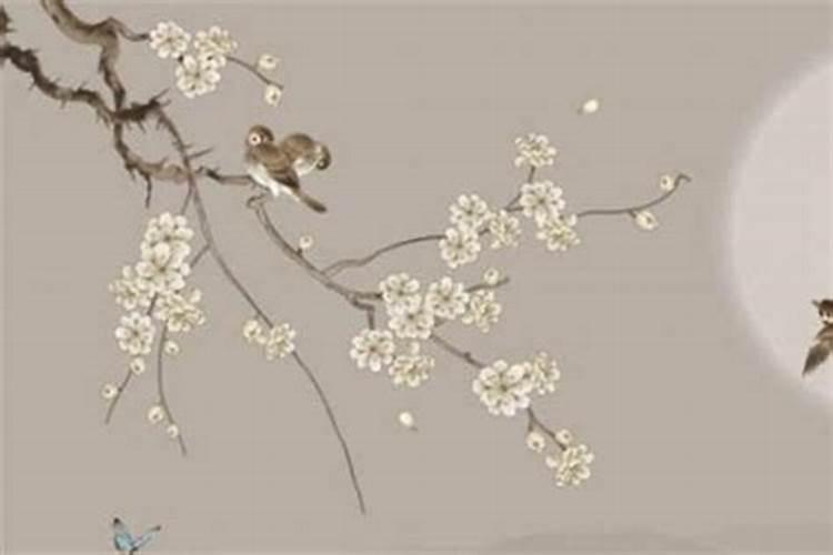 女生三月十五出生好