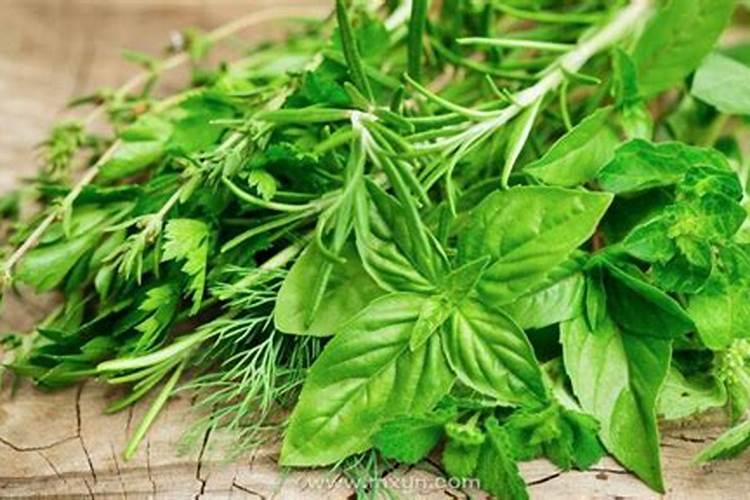 梦见地里扯野菜什么意思？