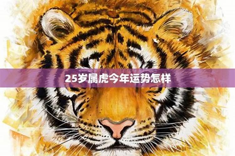 虎人今年月份的运势如何？