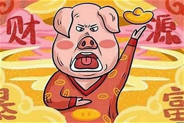 女猪男鼠属相婚配吗？