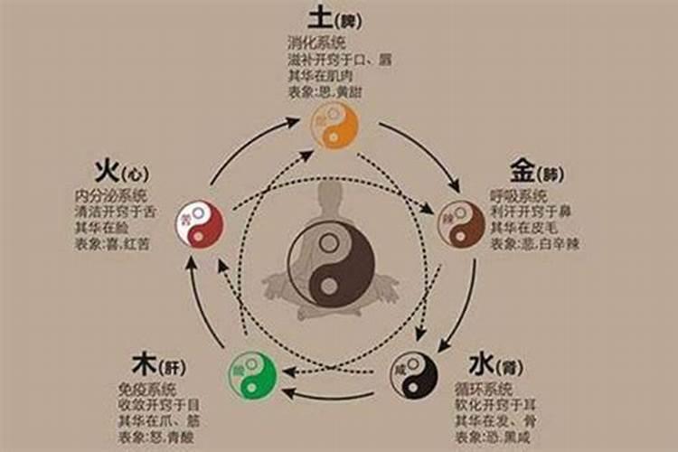 合八字看的是哪个五行？