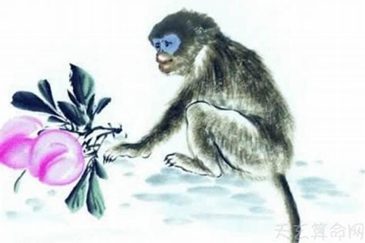 属猴的和什么属相婚配？