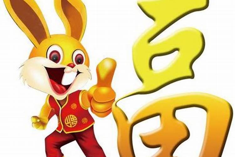 农历十月生肖兔运势如何？