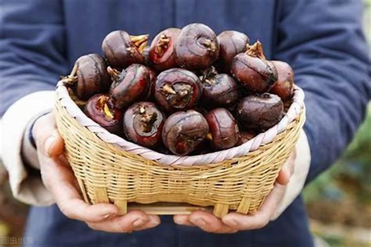 梦见马蹄代表什么意思？