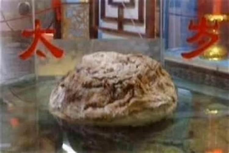 什么叫太岁太岁是什么样？