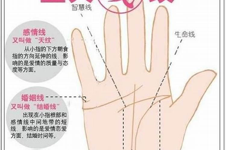 生辰八字和手相哪个看得准？