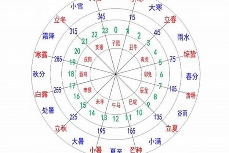 八字地支午卯是什么合？