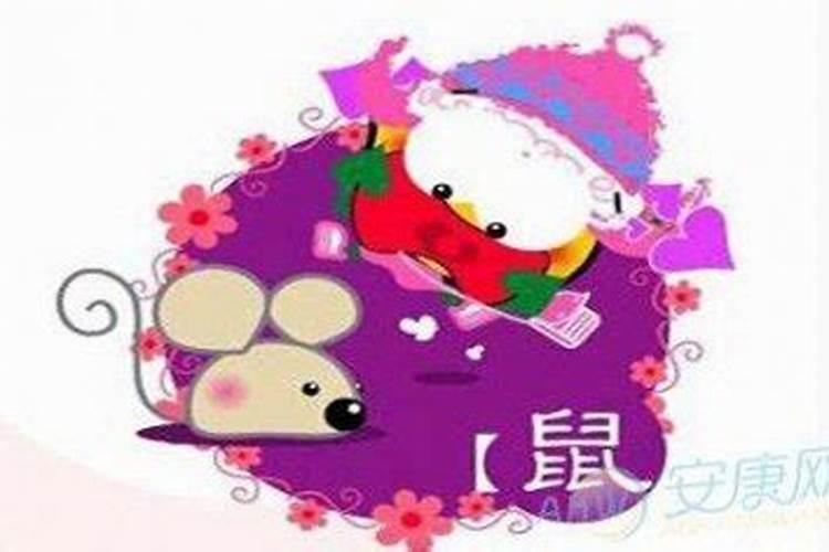 属鼠的女生今年的运势