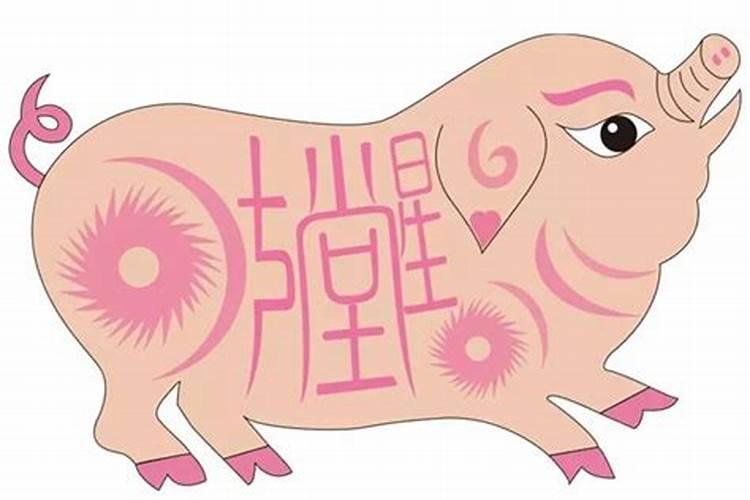 1995年属猪女出生月份看运势