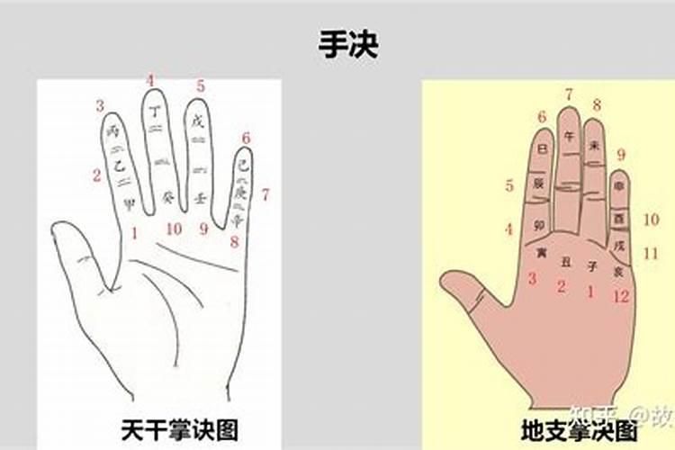 怎么看出八字原局的要点？