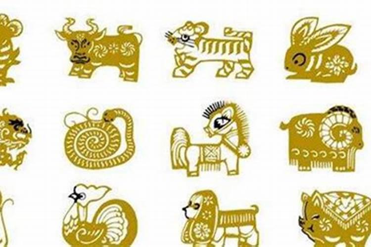 生肖龙与生肖猪合婚吗？