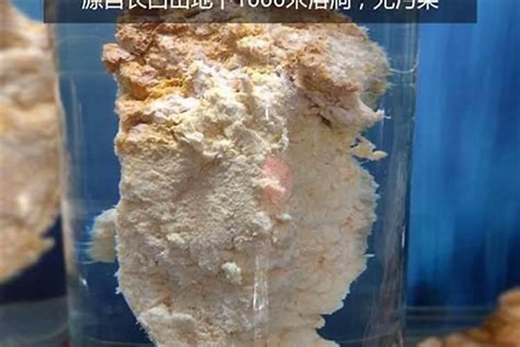 太岁泡水多长时间能喝？