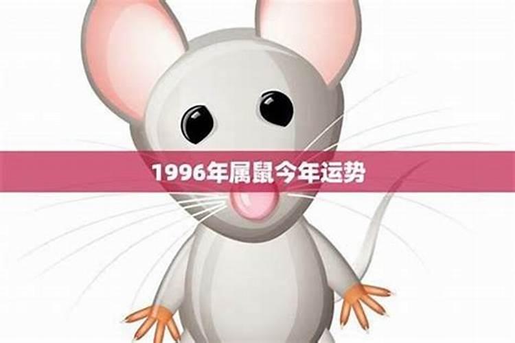 96年属鼠男运势如何？