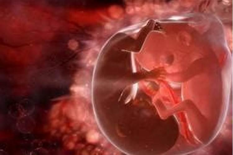 潍坊哪里有超度婴灵的？