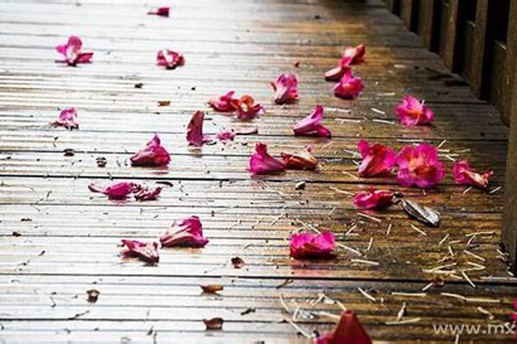 梦见亲人被杀见血是什么预兆？