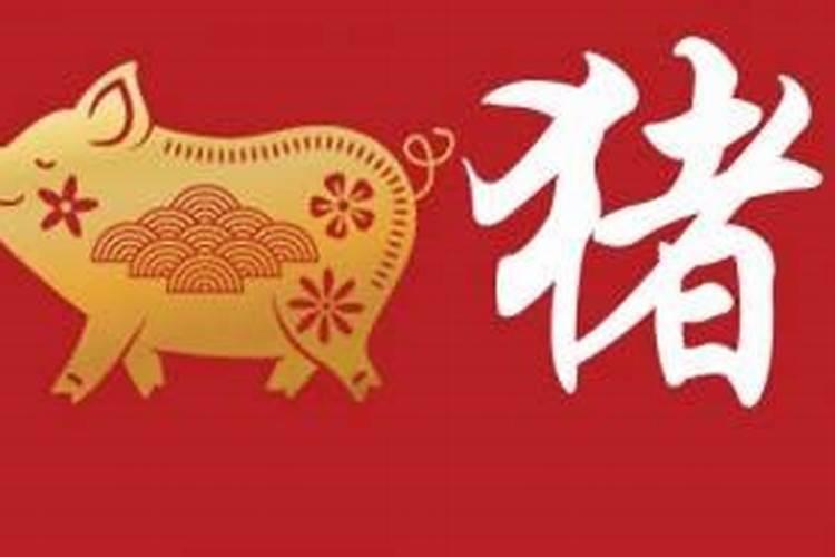 78属猪2026年运势运程