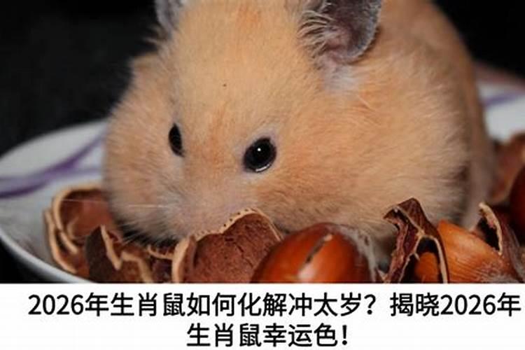 如何化解鼠年化太岁？