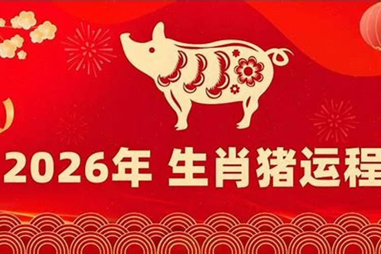71年猪2026年运程解说