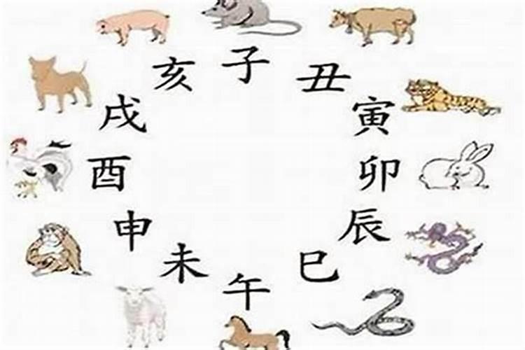 龙和猪的八字合吗？