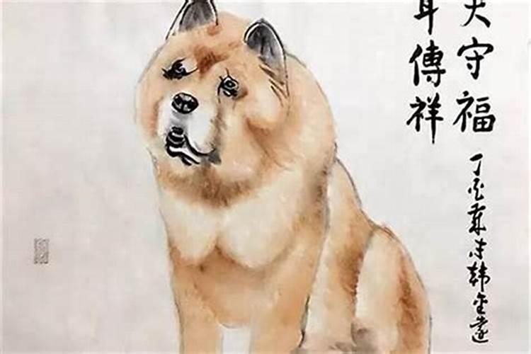 属狗人值太岁如何化解？