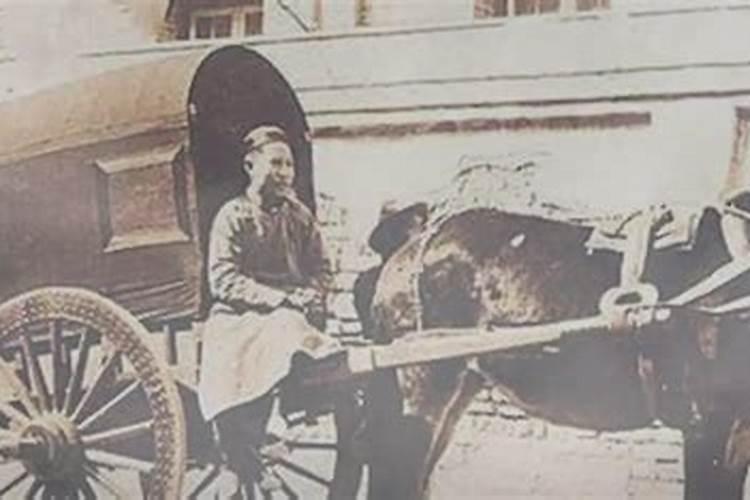 梦到自己抢了一辆马车