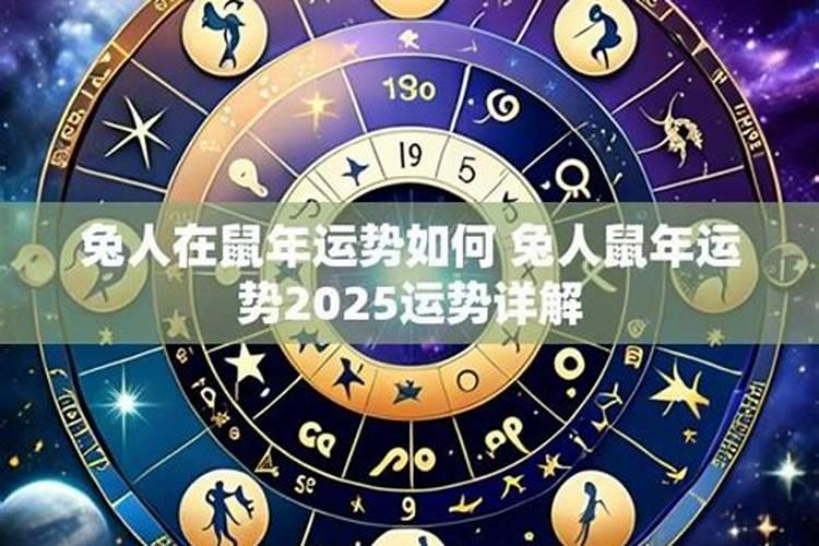 87年兔人遇鼠年运势如何？