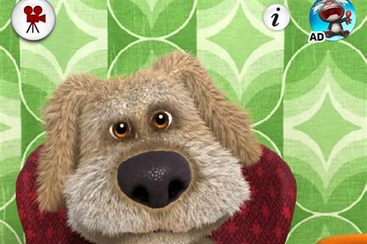 梦到自己的狗狗会说话