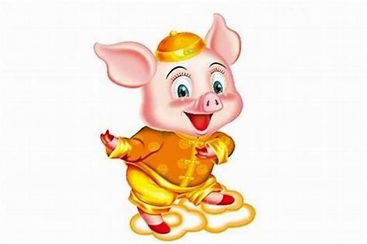 猪年兔子犯太岁吗？