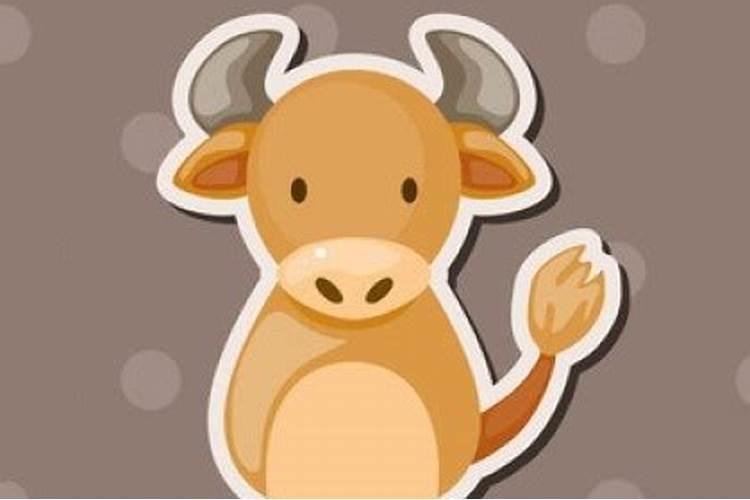 属牛人在蛇年运势如何？