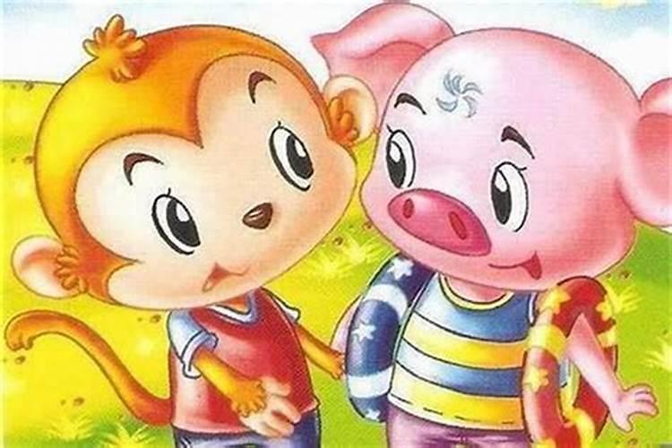 属猪和属猴合婚吗？