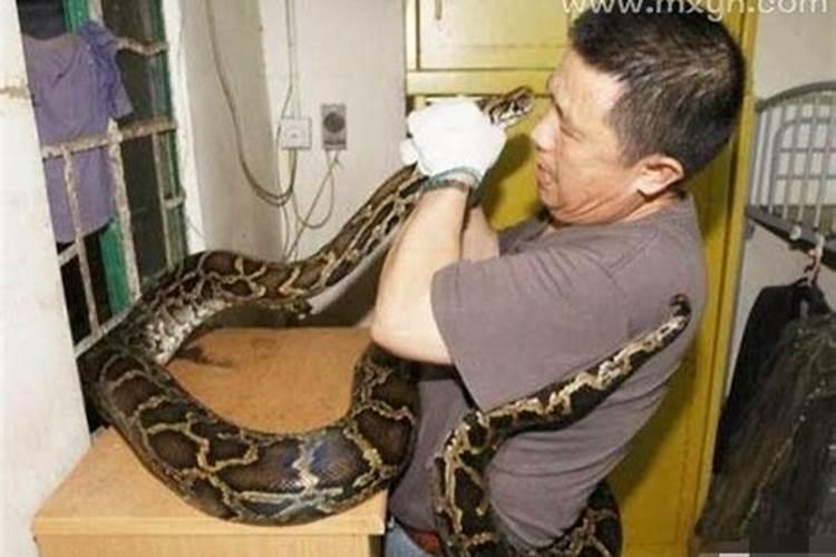 梦见蛇缠身是什么回事啊？