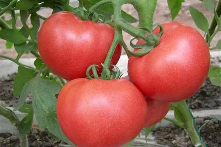 对付小人的最好方式