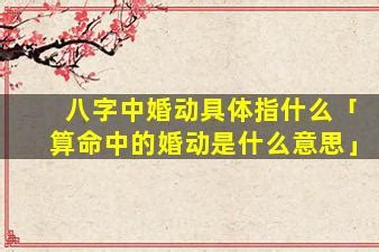 算八字动婚姻是什么意思？