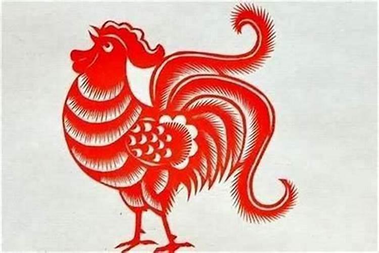 属鸡的本命年是什么？