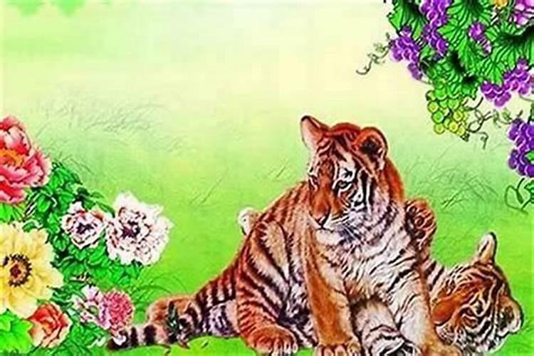 本命年的运气都不好吗属虎？