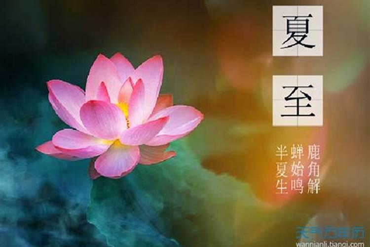 夏至的由来和习俗完整版