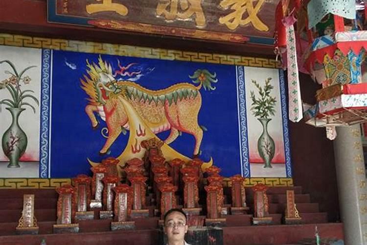 八字不合富贵命解一生肖