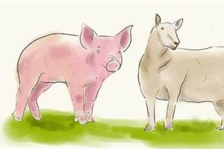 猪与羊属相婚配好吗？