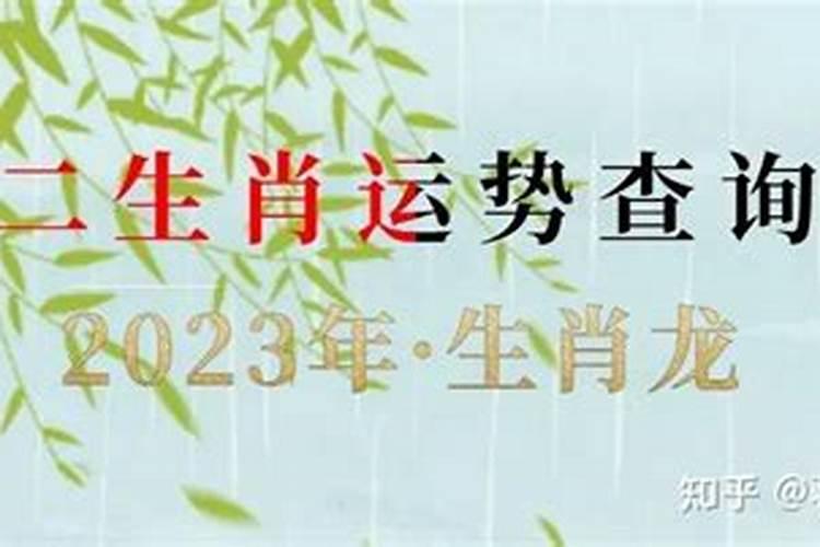 不同年出生的属龙人的运程