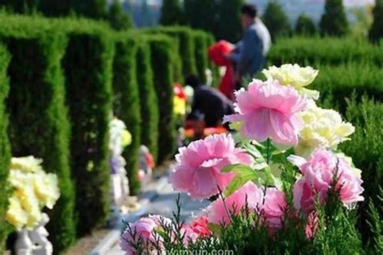 经常梦见去世的父母预示什么？