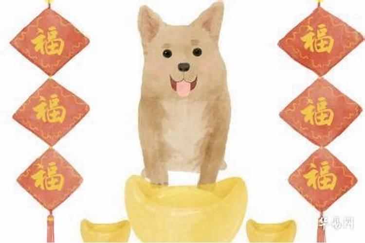 今年下半年属狗的运程