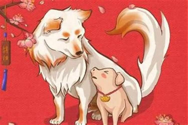 属狗的哪些年运势不好？