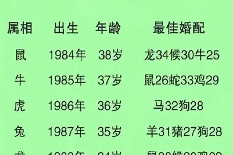 属蛇男与什么属相女婚配好？