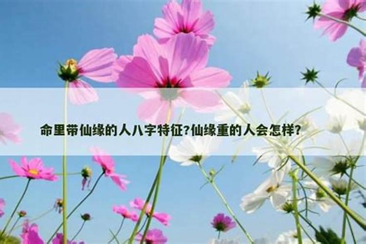 命里带黄大仙的人八字特征