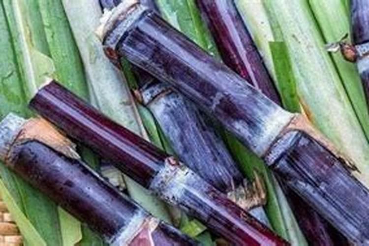 甘蔗哪里有合八字的？